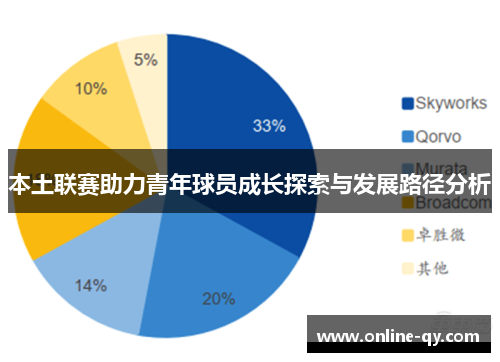 本土联赛助力青年球员成长探索与发展路径分析