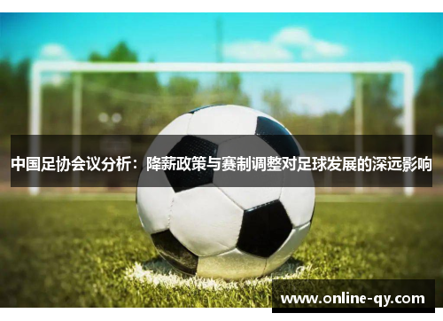 中国足协会议分析：降薪政策与赛制调整对足球发展的深远影响