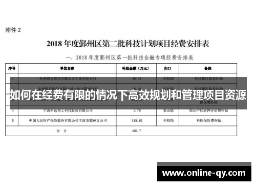如何在经费有限的情况下高效规划和管理项目资源
