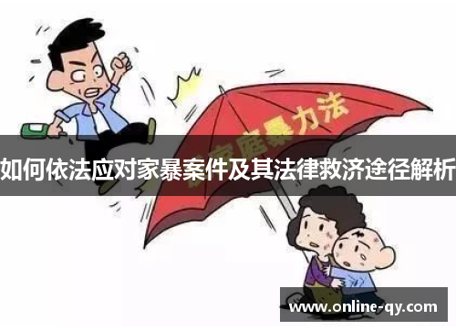 如何依法应对家暴案件及其法律救济途径解析
